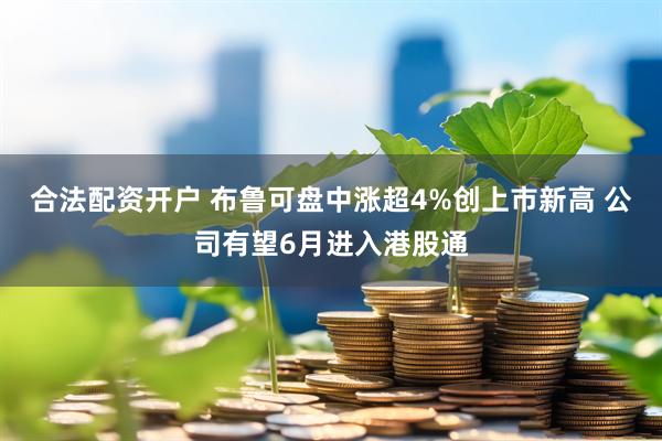 合法配资开户 布鲁可盘中涨超4%创上市新高 公司有望6月进入港股通