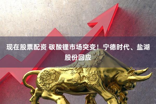 现在股票配资 碳酸锂市场突变！宁德时代、盐湖股份回应
