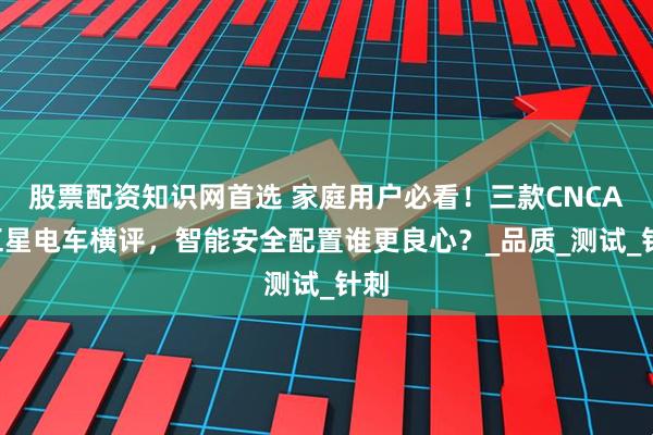 股票配资知识网首选 家庭用户必看！三款CNCAP五星电车横评，智能安全配置谁更良心？_品质_测试_针刺
